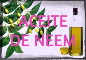 aceite de neem