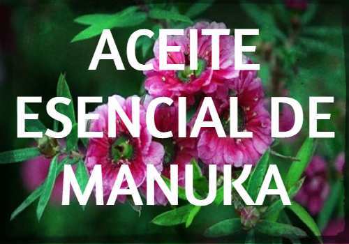 aceite esencial de manuka