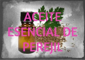 aceite esencial de perejil